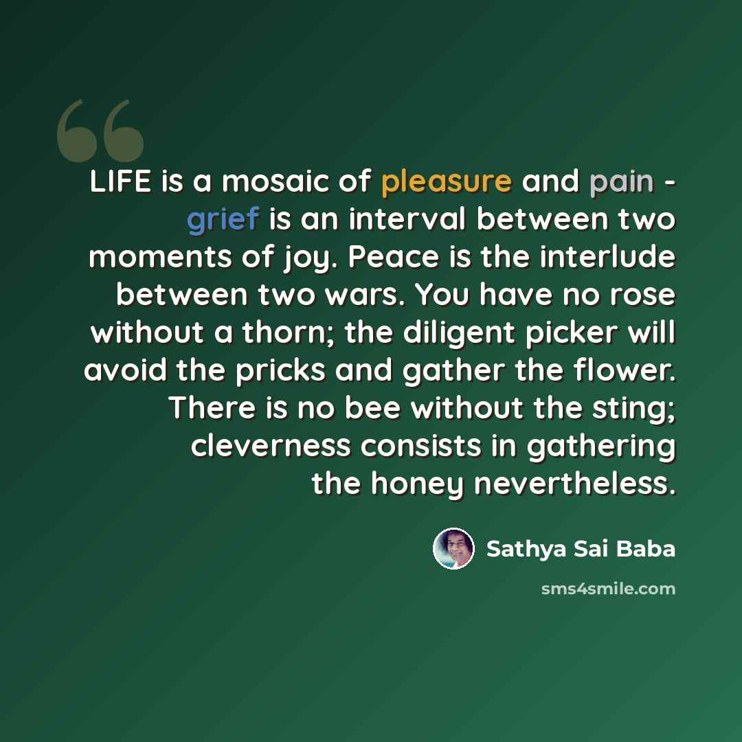 “LIFE is a mosaic of pleasure and pain - grief is an interval between two moments of joy. Peace is the interlude between two wars. You have no rose without a thorn; the diligent picker will avoid the pricks and gather the flower. There is no bee without the sting; cleverness consists in gathering…” quote by Sathya Sai Baba
