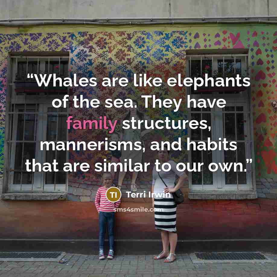 “Whales are like elephants of the sea. They have family structures, mannerisms, and habits that are similar to our own.” quote by Terri Irwin