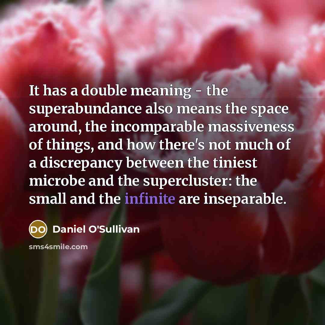 “It has a double meaning - the superabundance also means the space around, the incomparable massiveness of things, and how there's not much of a discrepancy between the tiniest microbe and the supercluster: the small and the infinite are inseparable.” quote by Daniel O'Sullivan