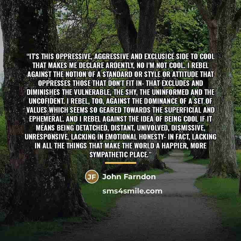 “It's this oppressive, aggressive and exclusice side to cool that makes me declare ardently, no I'm not cool. I rebel against the notion of a standard or style or attitude that oppresses those that don't fit in- that excludes and diminishes the vulnerable, the shy, the uninformed and the…” quote by John Farndon