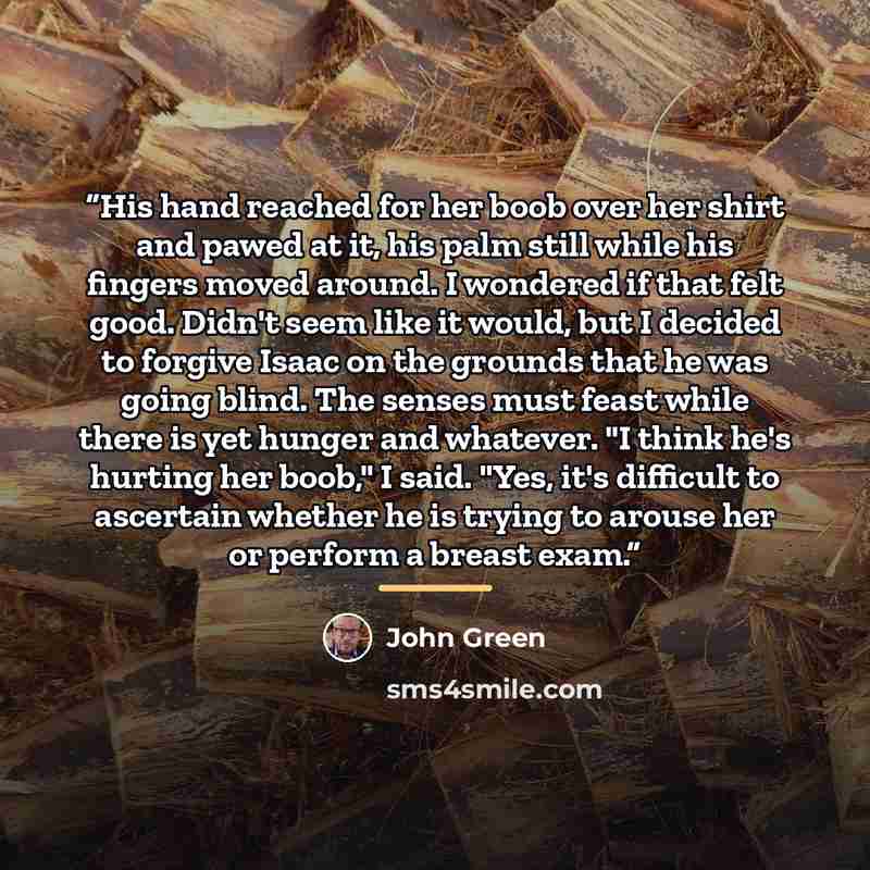 “His hand reached for her boob over her shirt and pawed at it, his palm still while his fingers moved around. I wondered if that felt good. Didn't seem like it would, but I decided to forgive Isaac on the grounds that he was going blind. The senses must feast while there is yet hunger and whatever…” quote by John Green
