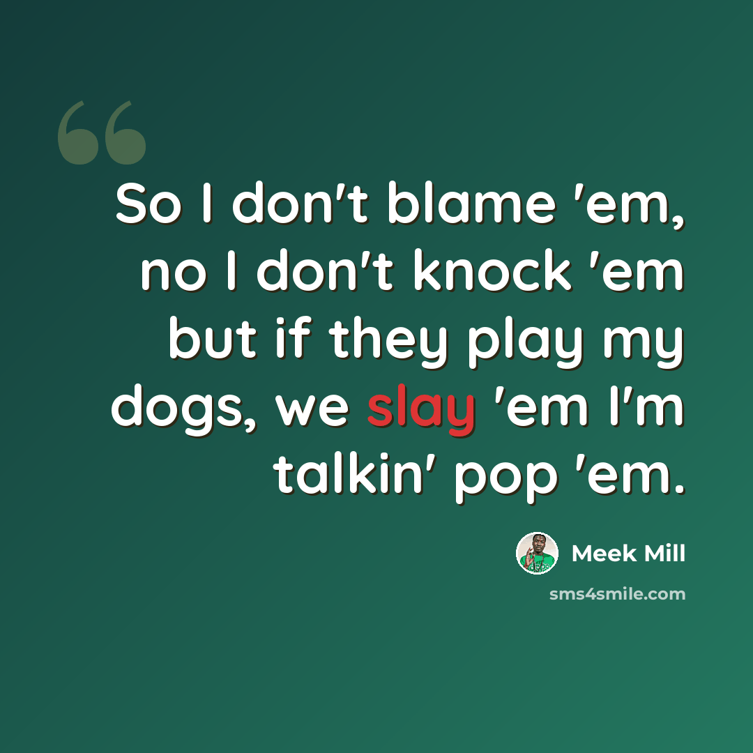 “So I don't blame 'em, no I don't knock 'em but if they play my dogs, we slay 'em I'm talkin' pop 'em.” quote by Meek Mill