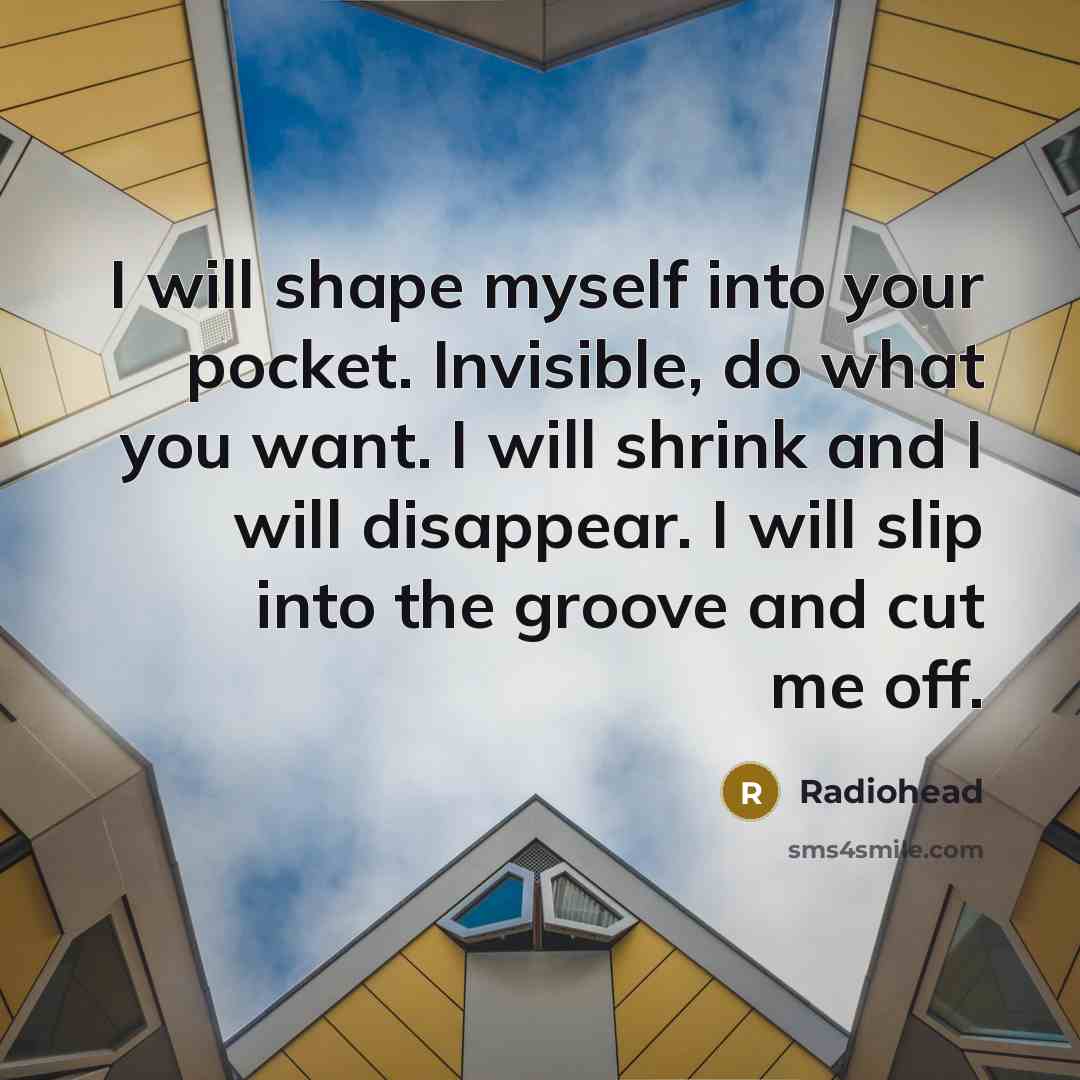 “I will shape myself into your pocket. Invisible, do what you want. I will shrink and I will disappear. I will slip into the groove and cut me off.” quote by Radiohead