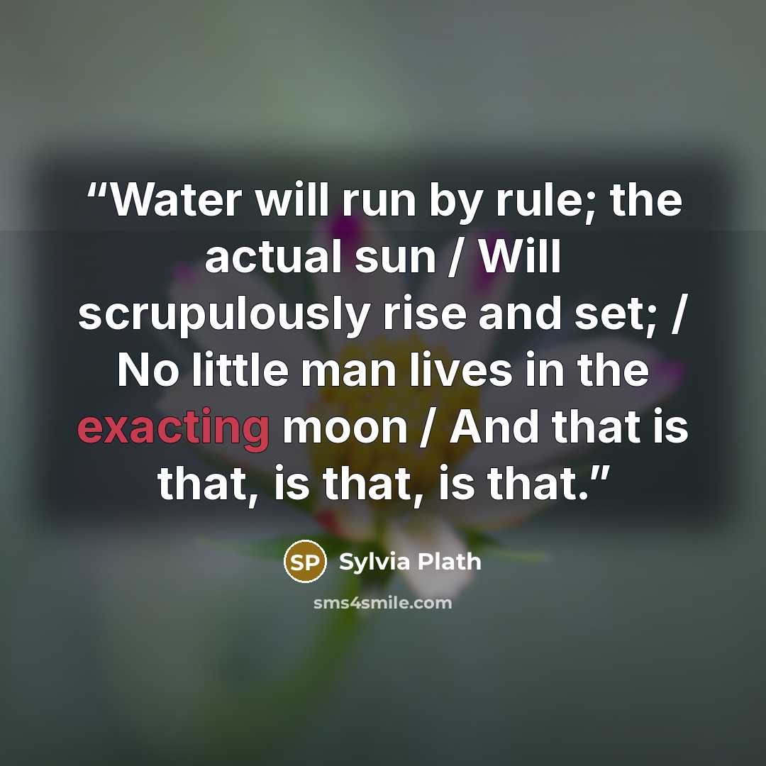 “Water will run by rule; the actual sun / Will scrupulously rise and set; / No little man lives in the exacting moon / And that is that, is that, is that.” quote by Sylvia Plath