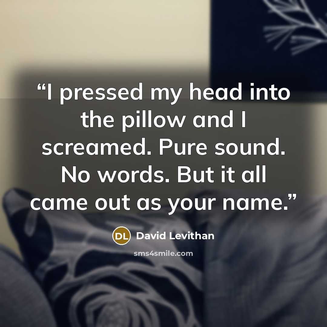 “I pressed my head into the pillow and I screamed. Pure sound. No words. But it all came out as your name.” quote by David Levithan