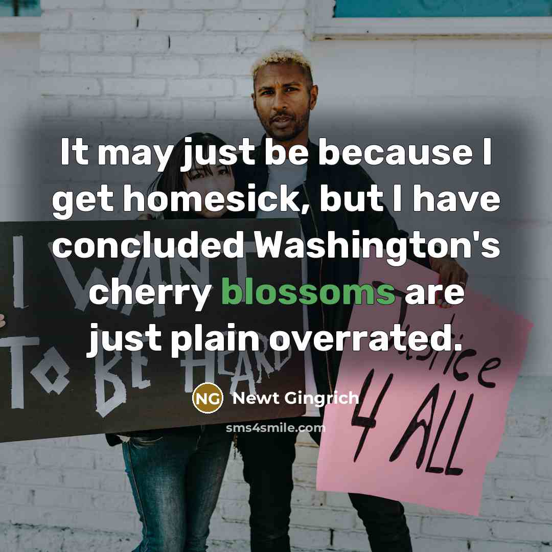 “It may just be because I get homesick, but I have concluded Washington's cherry blossoms are just plain overrated.” quote by Newt Gingrich