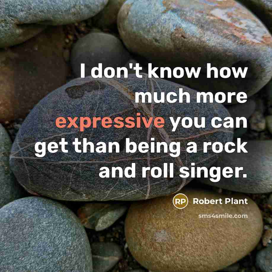 “I don't know how much more expressive you can get than being a rock and roll singer.” quote by Robert Plant