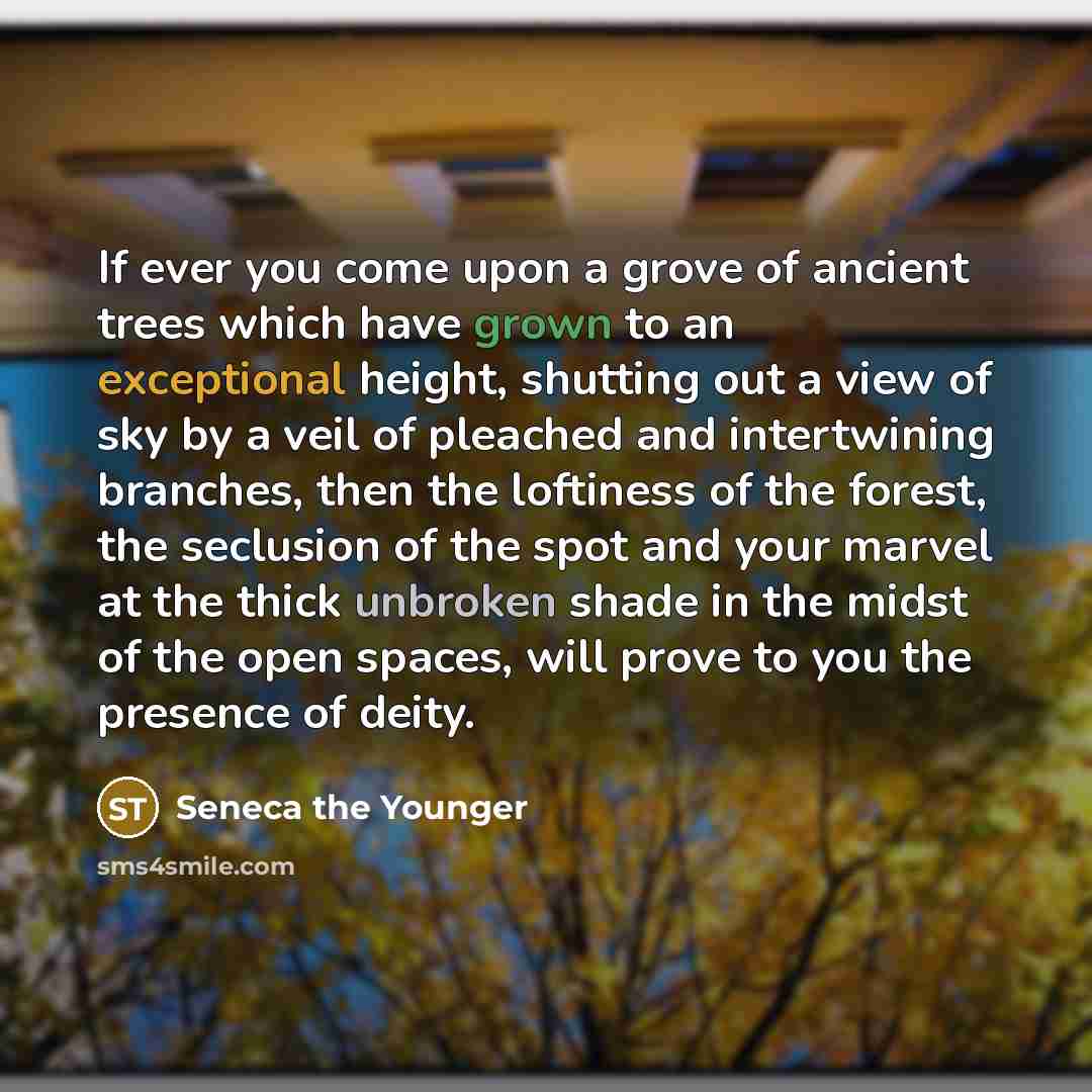 “If ever you come upon a grove of ancient trees which have grown to an exceptional height, shutting out a view of sky by a veil of pleached and intertwining branches, then the loftiness of the forest, the seclusion of the spot and your marvel at the thick unbroken shade in the midst of the open…” quote by Seneca the Younger
