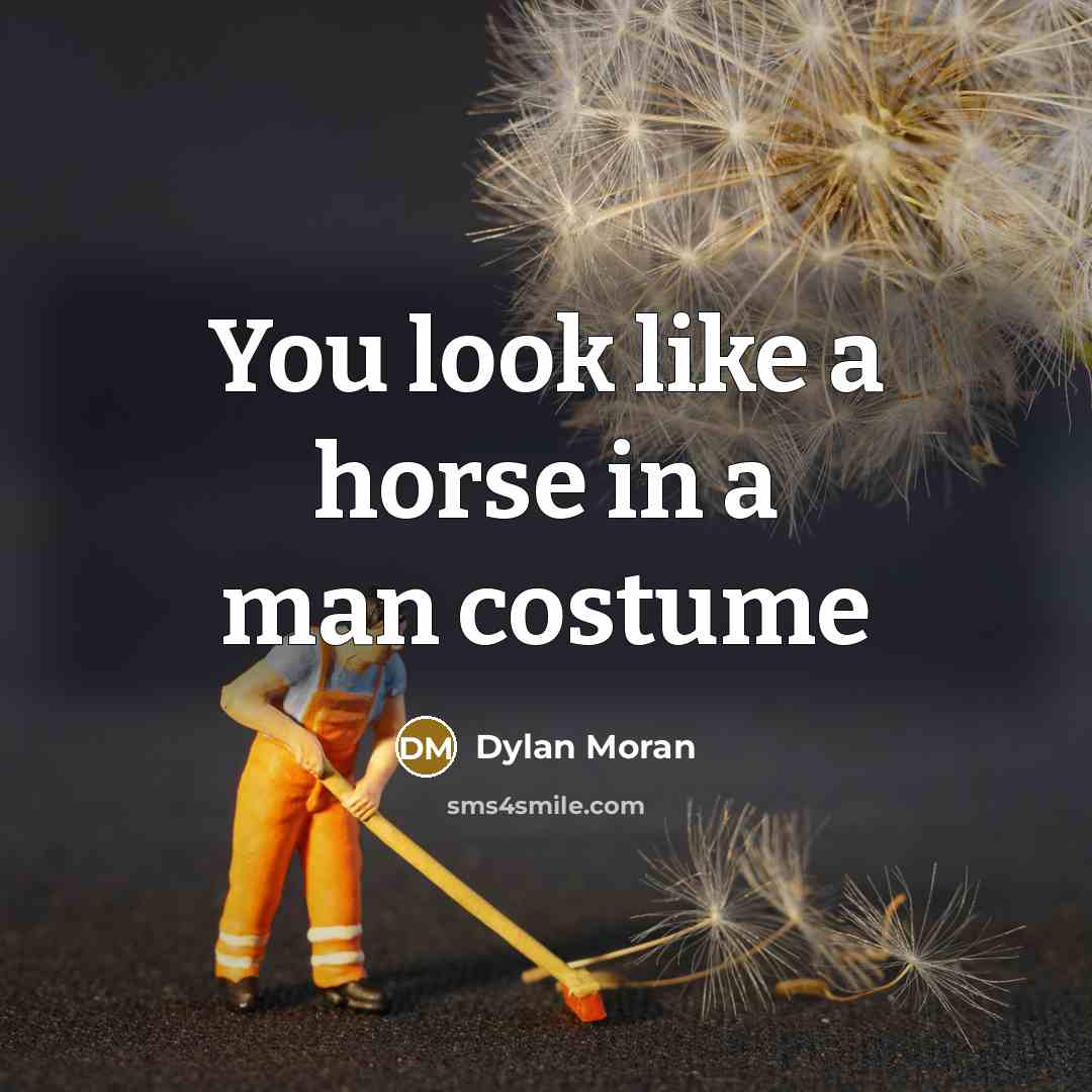 “You look like a horse in a man costume” quote by Dylan Moran