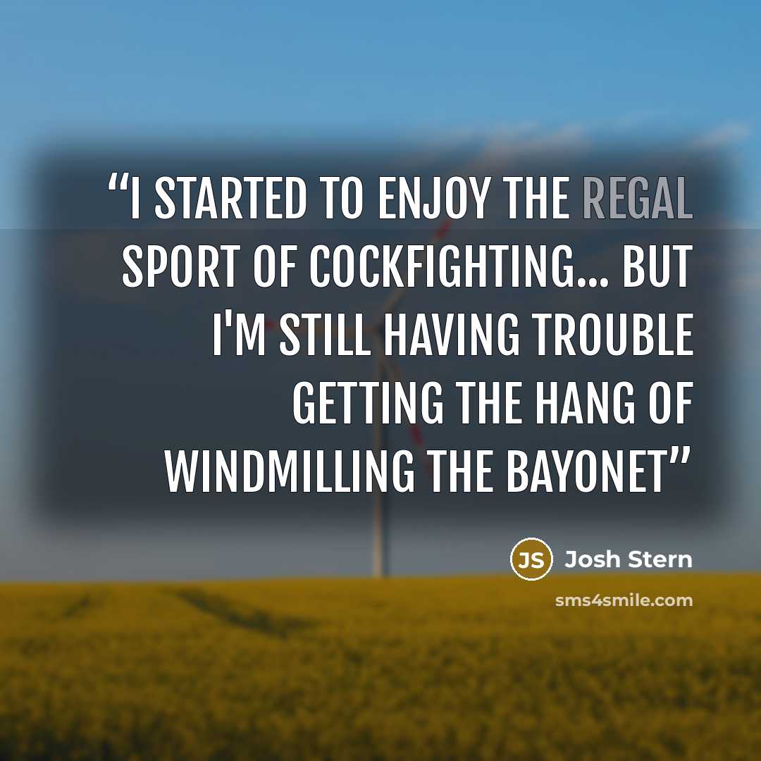“I started to enjoy the regal sport of cockfighting... but I'm still having trouble getting the hang of windmilling the bayonet” quote by Josh Stern