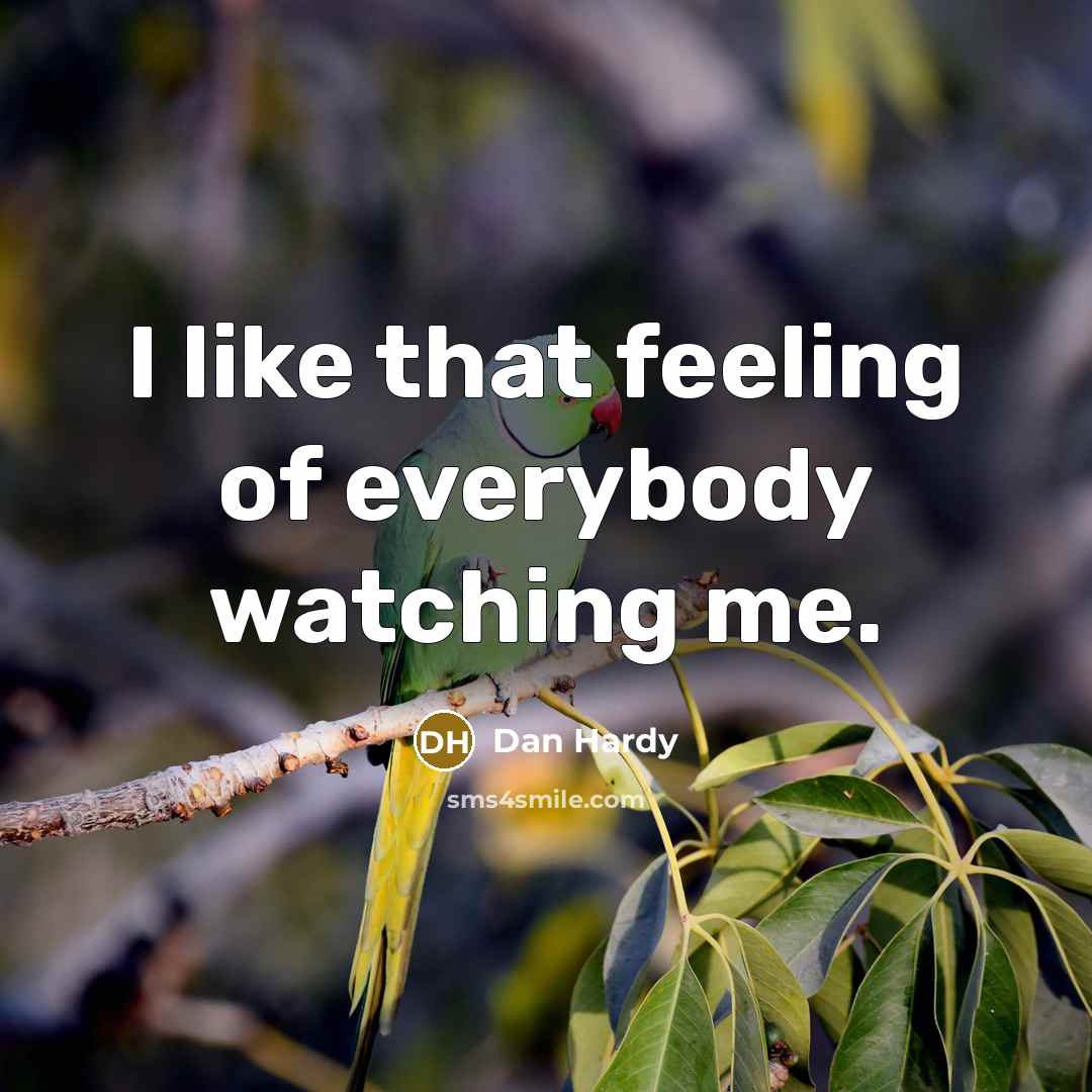 “I like that feeling of everybody watching me.” quote by Dan Hardy