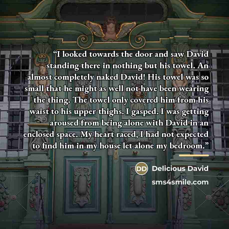 “I looked towards the door and saw David standing there in nothing but his towel. An almost completely naked David! His towel was so small that he might as well not have been wearing the thing. The towel only covered him from his waist to his upper thighs. I gasped. I was getting aroused from being…” quote by Delicious David