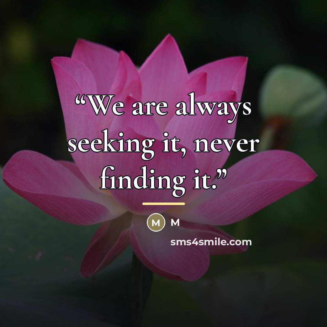 “We are always seeking it, never finding it.” quote by M