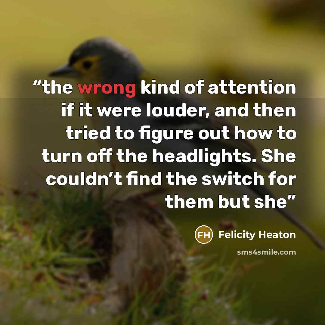 “the wrong kind of attention if it were louder, and then tried to figure out how to turn off the headlights. She couldn’t find the switch for them but she” quote by Felicity Heaton