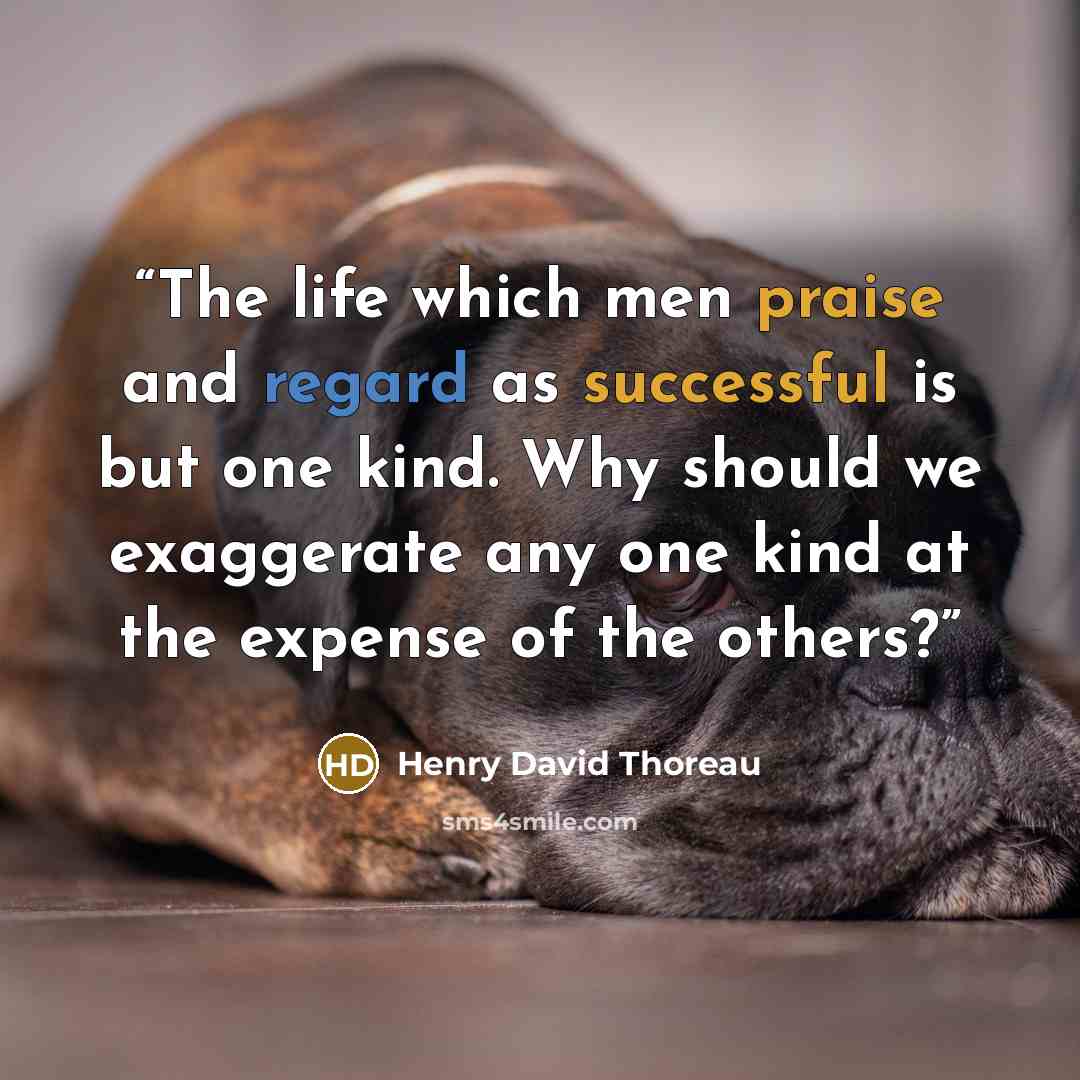 “The life which men praise and regard as successful is but one kind. Why should we exaggerate any one kind at the expense of the others?” quote by Henry David Thoreau