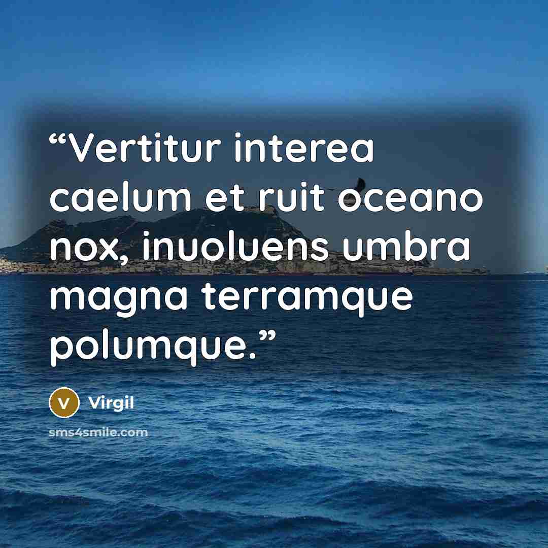 “Vertitur interea caelum et ruit oceano nox, inuoluens umbra magna terramque polumque.” quote by Virgil