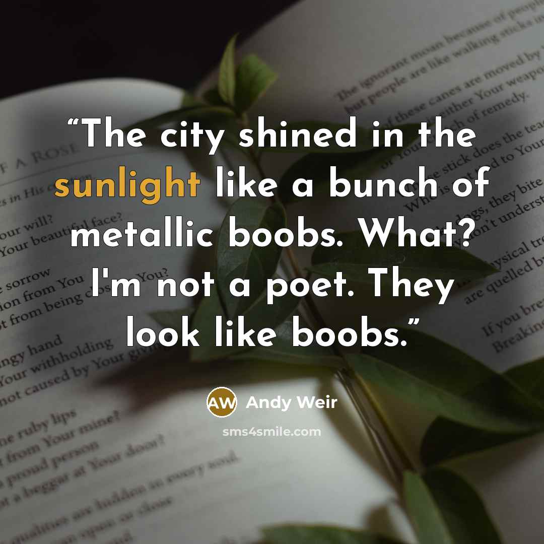 “The city shined in the sunlight like a bunch of metallic boobs. What? I'm not a poet. They look like boobs.” quote by Andy Weir