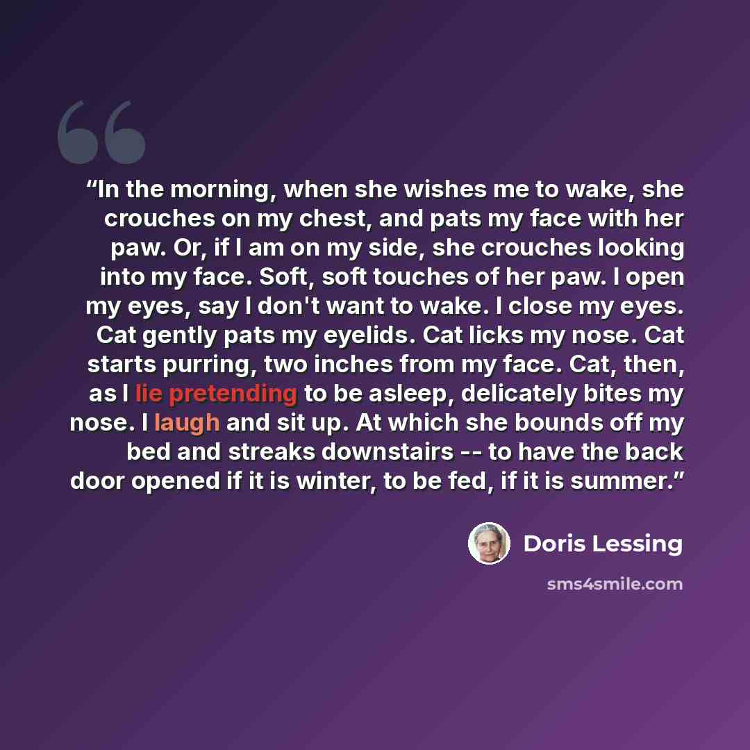 “In the morning, when she wishes me to wake, she crouches on my chest, and pats my face with her paw. Or, if I am on my side, she crouches looking into my face. Soft, soft touches of her paw. I open my eyes, say I don't want to wake. I close my eyes. Cat gently pats my eyelids. Cat licks my nose…” quote by Doris Lessing