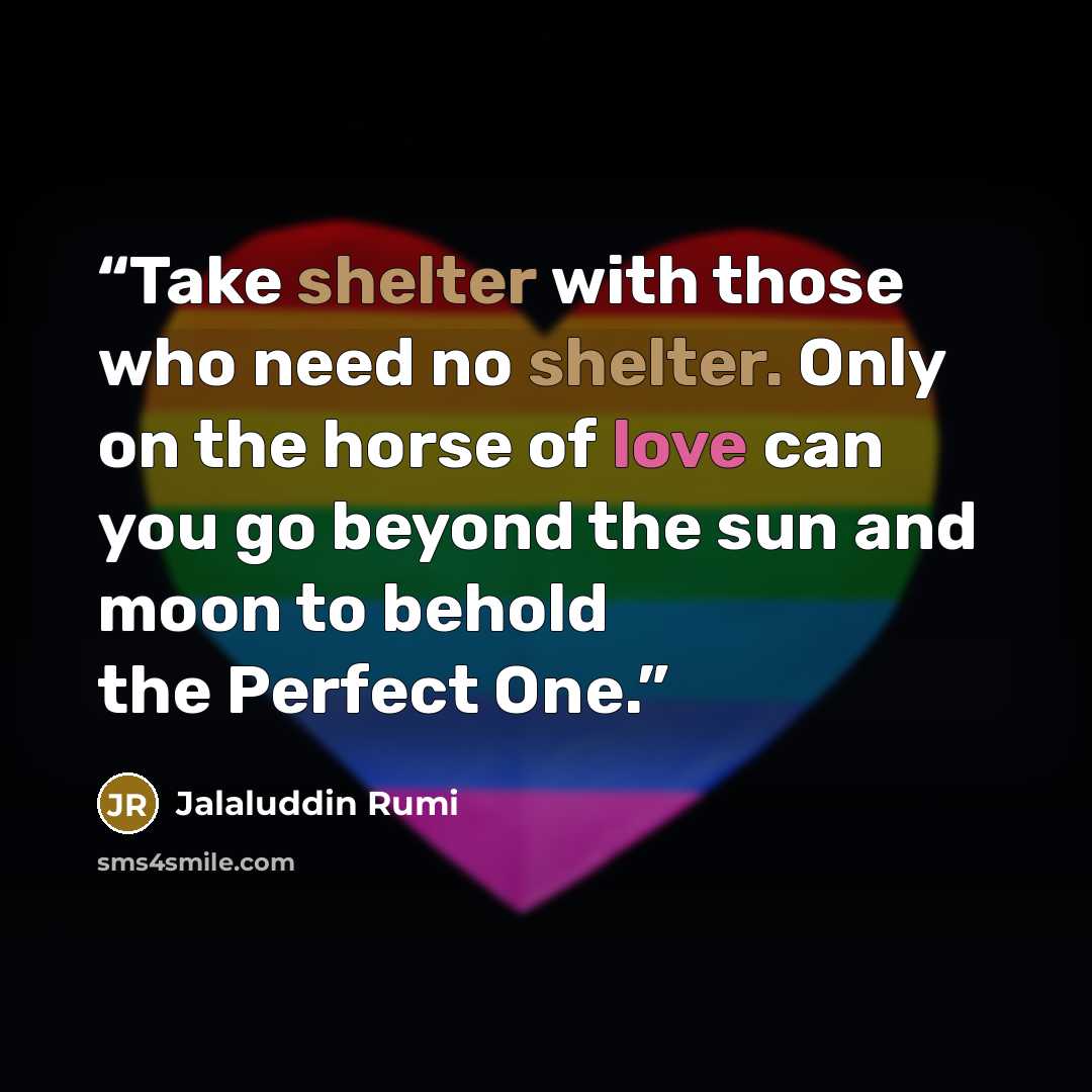“Take shelter with those who need no shelter. Only on the horse of love can you go beyond the sun and moon to behold the Perfect One.” quote by Jalaluddin Rumi