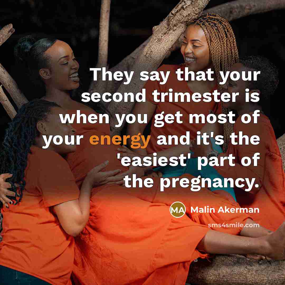 “They say that your second trimester is when you get most of your energy and it's the 'easiest' part of the pregnancy.” quote by Malin Akerman