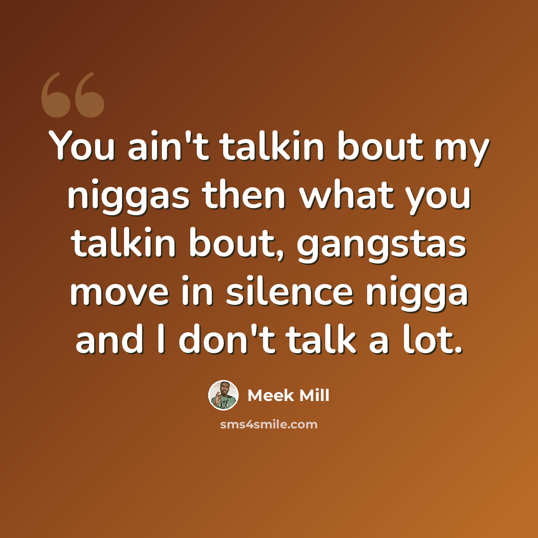 “You ain't talkin bout my niggas then what you talkin bout, gangstas move in silence nigga and I don't talk a lot.” quote by Meek Mill