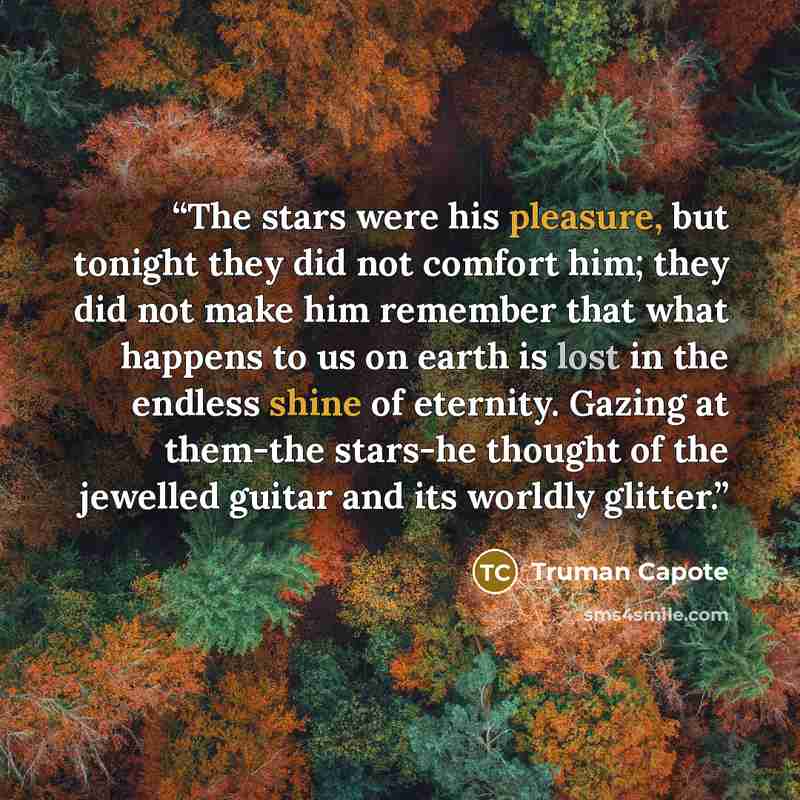 “The stars were his pleasure, but tonight they did not comfort him; they did not make him remember that what happens to us on earth is lost in the endless shine of eternity. Gazing at them-the stars-he thought of the jewelled guitar and its worldly glitter.” quote by Truman Capote