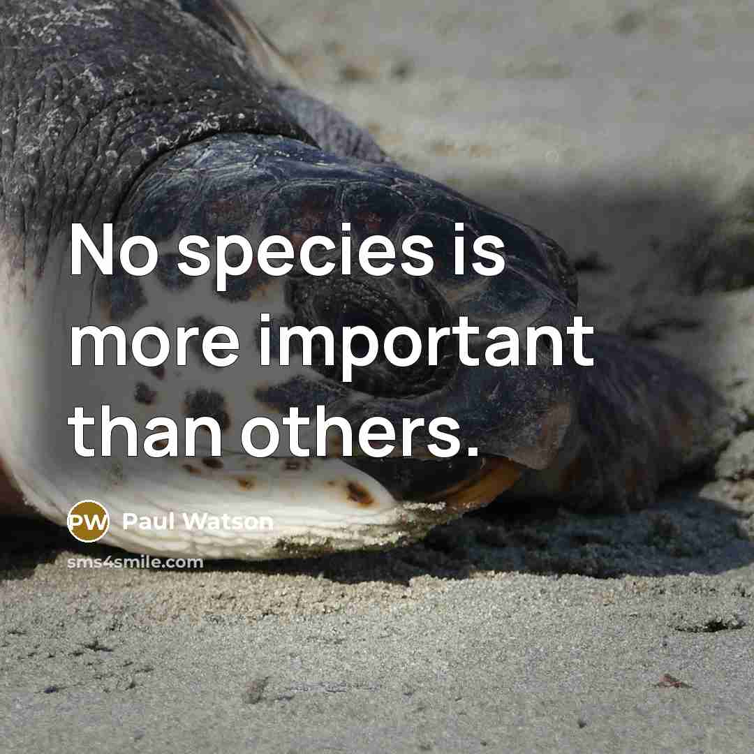 “No species is more important than others.” quote by Paul Watson