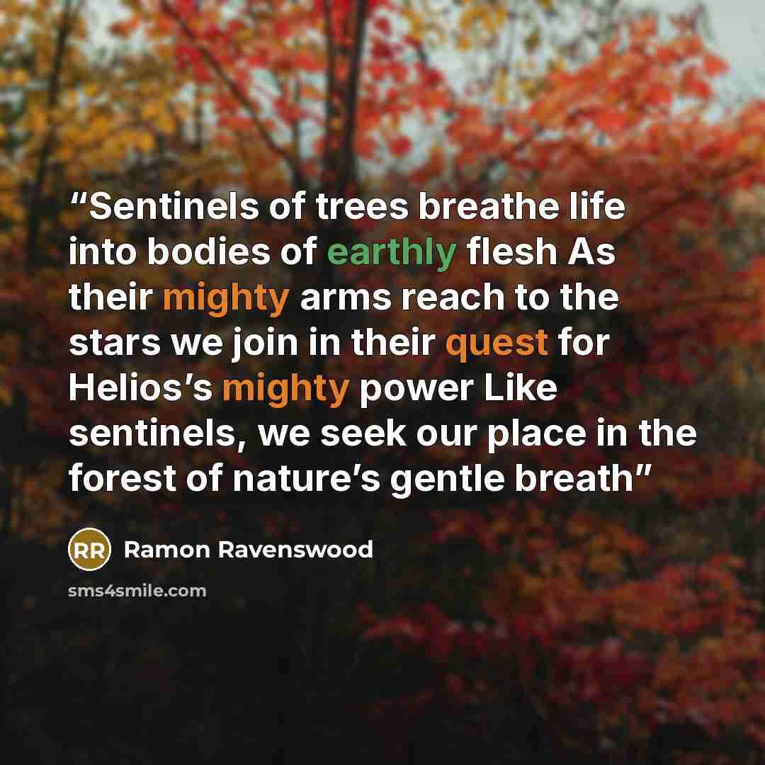 “Sentinels of trees breathe life into bodies of earthly flesh As their mighty arms reach to the stars we join in their quest for Helios’s mighty power Like sentinels, we seek our place in the forest of nature’s gentle breath” quote by Ramon Ravenswood