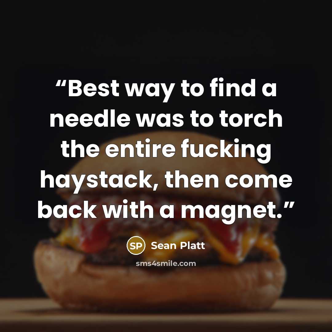 “Best way to find a needle was to torch the entire fucking haystack, then come back with a magnet.” quote by Sean Platt