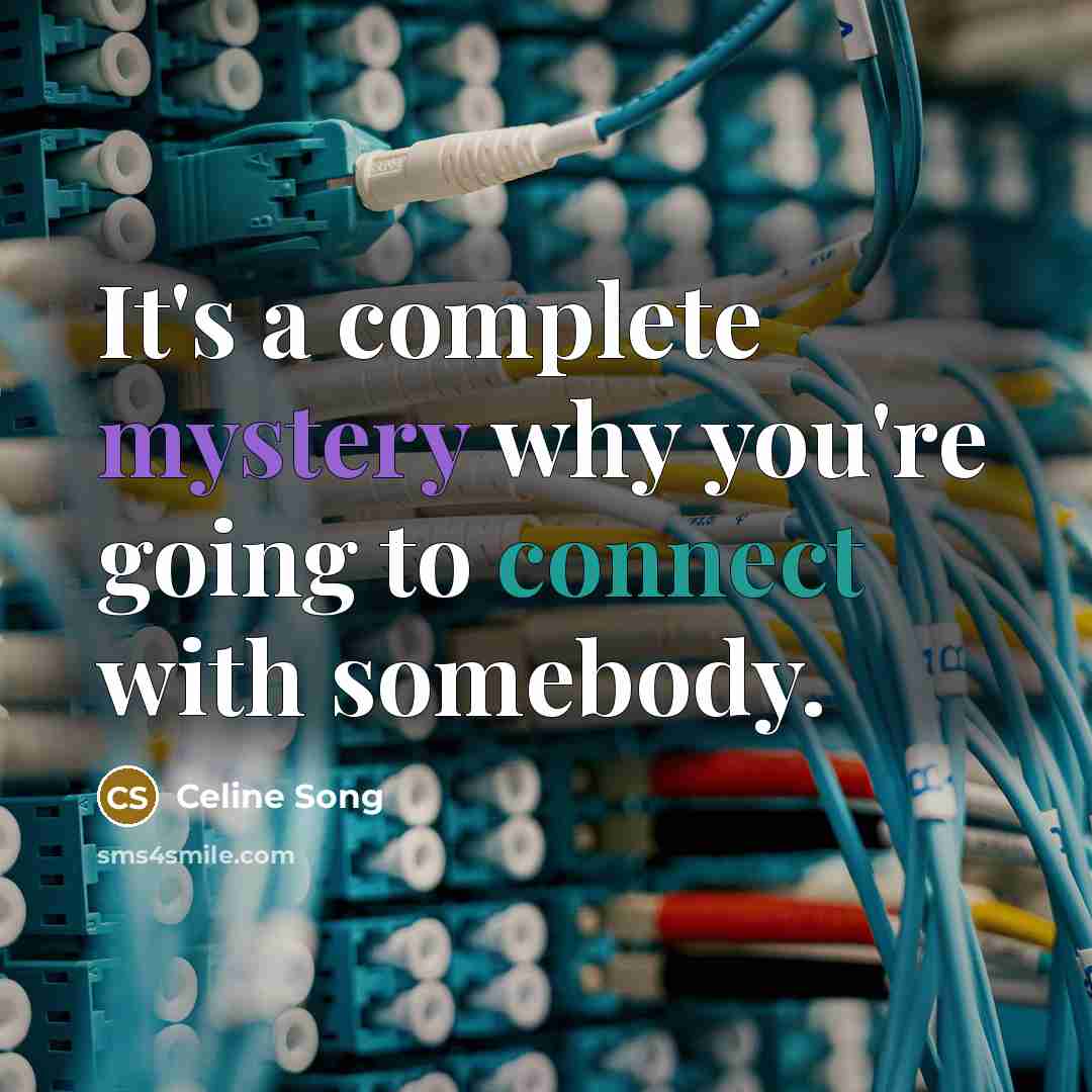 “It's a complete mystery why you're going to connect with somebody.” quote by Celine Song