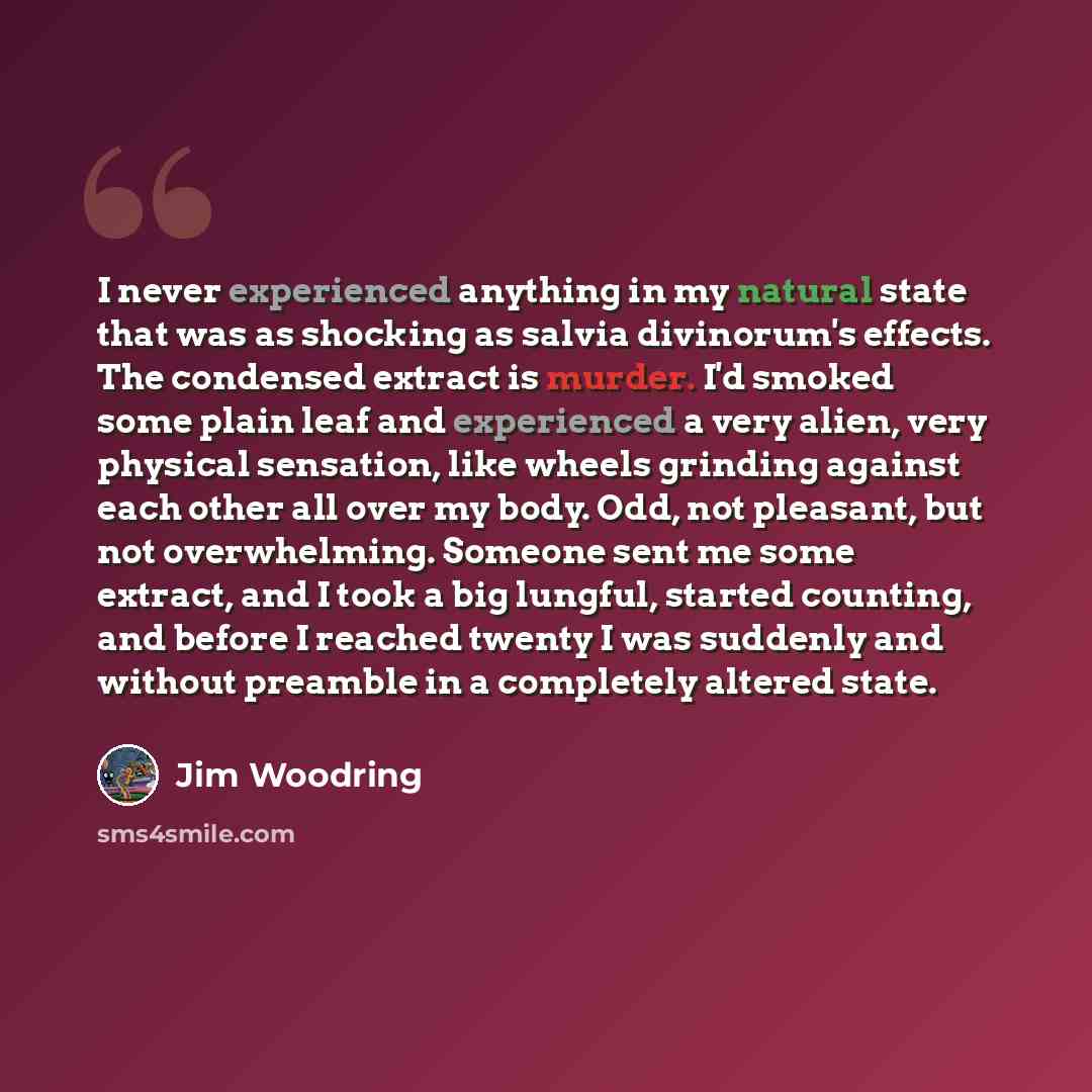 “I never experienced anything in my natural state that was as shocking as salvia divinorum's effects. The condensed extract is murder. I'd smoked some plain leaf and experienced a very alien, very physical sensation, like wheels grinding against each other all over my body. Odd, not pleasant, but…” quote by Jim Woodring