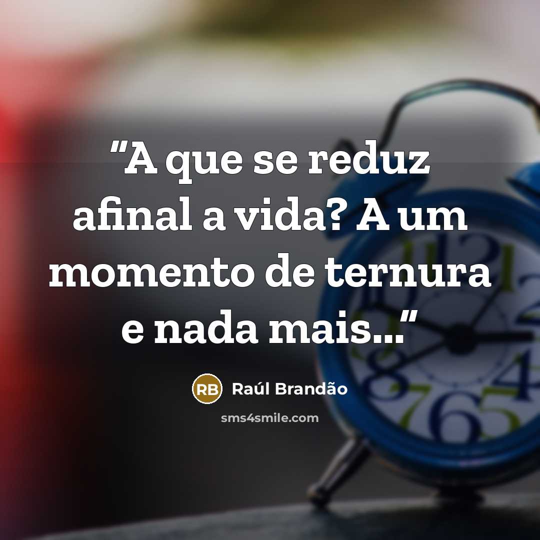 “A que se reduz afinal a vida? A um momento de ternura e nada mais...” quote by Raul Brandão
