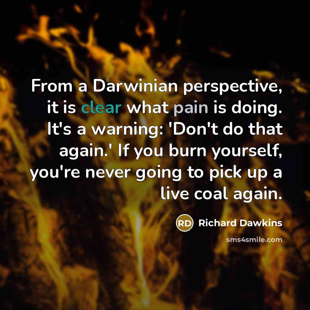 “From a Darwinian perspective, it is clear what pain is doing. It's a warning: 'Don't do that again.' If you burn yourself, you're never going to pick up a live coal again.” quote by Richard Dawkins