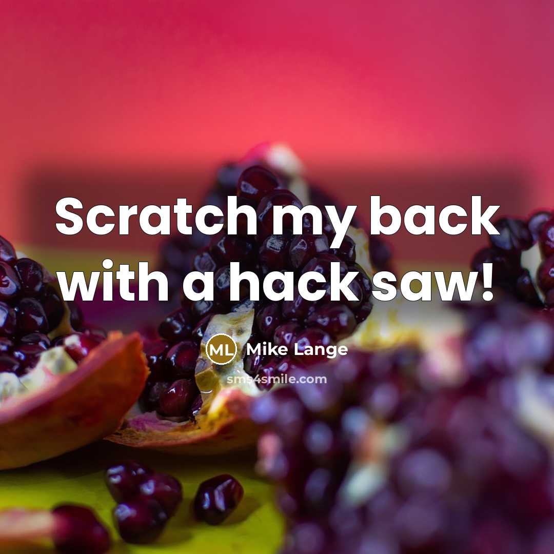 “Scratch my back with a hack saw!” quote by Mike Lange