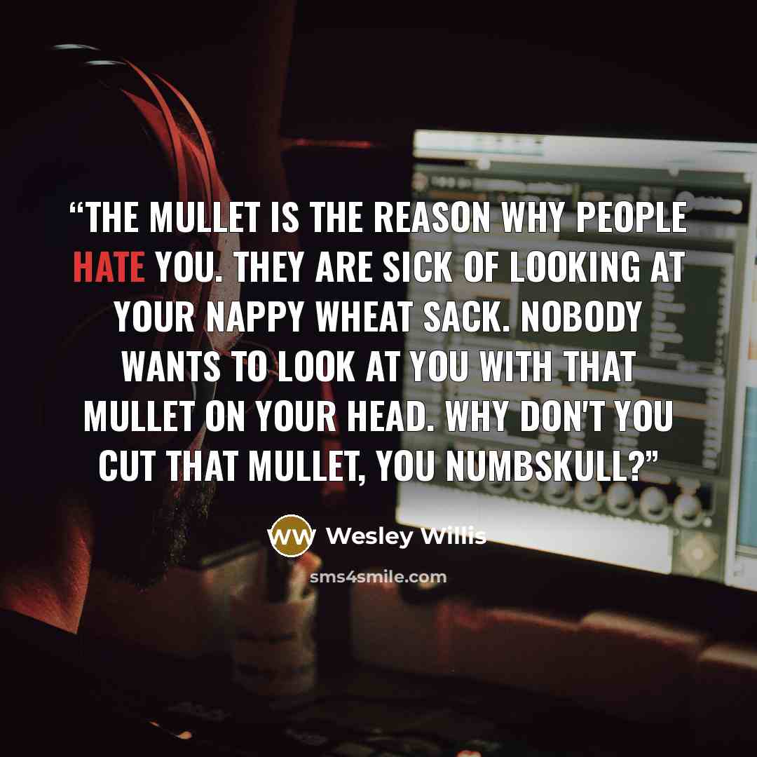 “The mullet is the reason why people hate you. They are sick of looking at your nappy wheat sack. Nobody wants to look at you with that mullet on your head. Why don't you cut that mullet, you numbskull?” quote by Wesley Willis