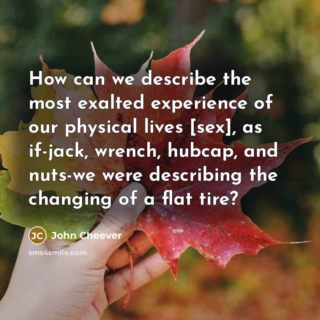 “How can we describe the most exalted experience of our physical lives [sex], as if-jack, wrench, hubcap, and nuts-we were describing the changing of a flat tire?” quote by John Cheever