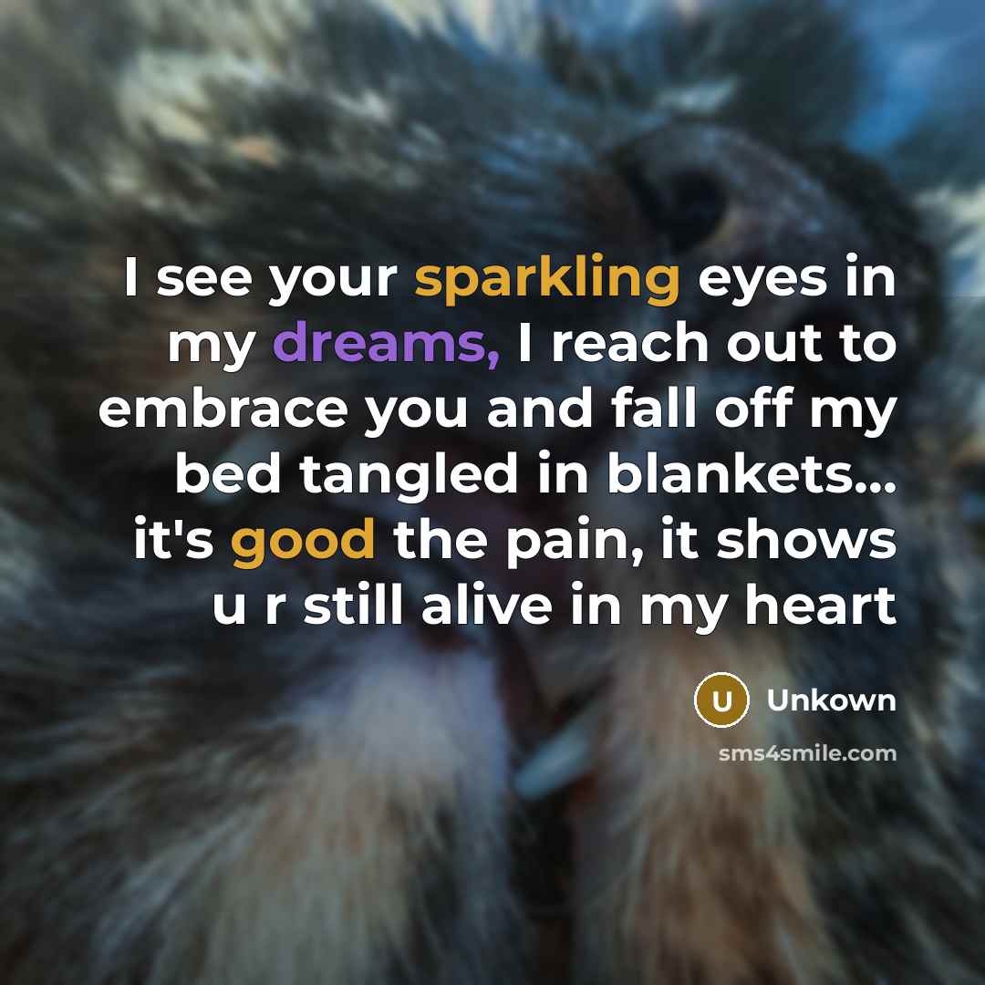 “I see your sparkling eyes in my dreams, I reach out to embrace you and fall off my bed tangled in blankets… it's good the pain, it shows u r still alive in my heart” quote by Unkown