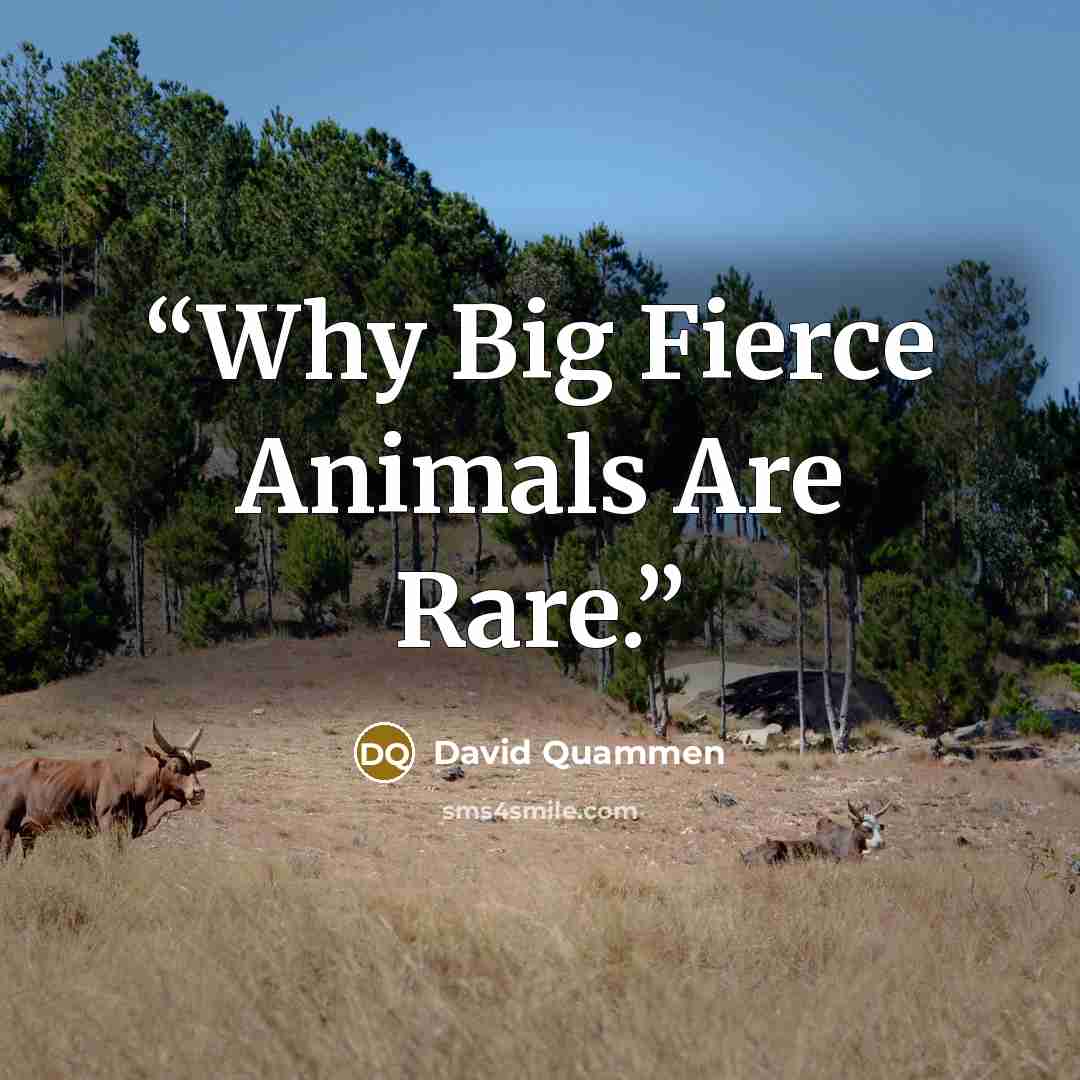 “Why Big Fierce Animals Are Rare.” quote by David Quammen