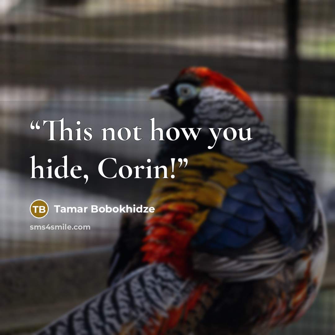 “This not how you hide, Corin!” quote by Tamar Bobokhidze