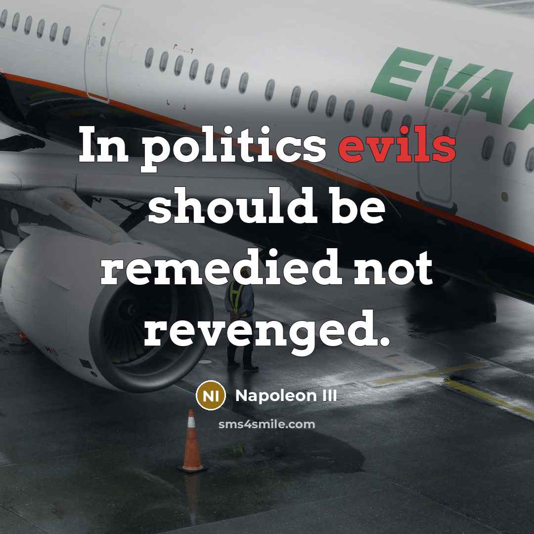 “In politics evils should be remedied not revenged.” quote by Napoleon III