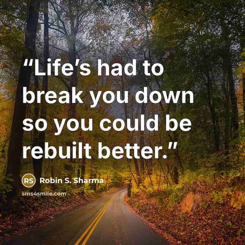 “Life’s had to break you down so you could be rebuilt better.” quote by Robin S. Sharma