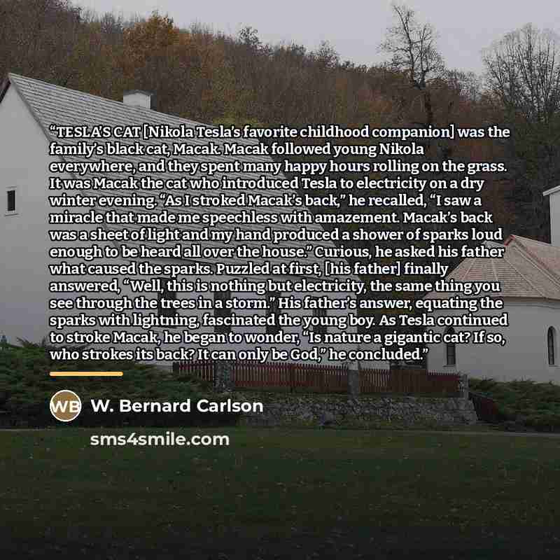 “TESLA’S CAT [Nikola Tesla’s favorite childhood companion] was the family’s black cat, Macak. Macak followed young Nikola everywhere, and they spent many happy hours rolling on the grass. It was Macak the cat who introduced Tesla to electricity on a dry winter evening. “As I stroked Macak’s back,”…” quote by W. Bernard Carlson