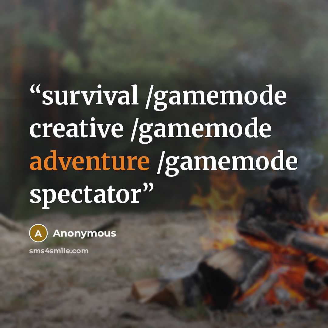 “survival /gamemode creative /gamemode adventure /gamemode spectator” quote by Anonymous