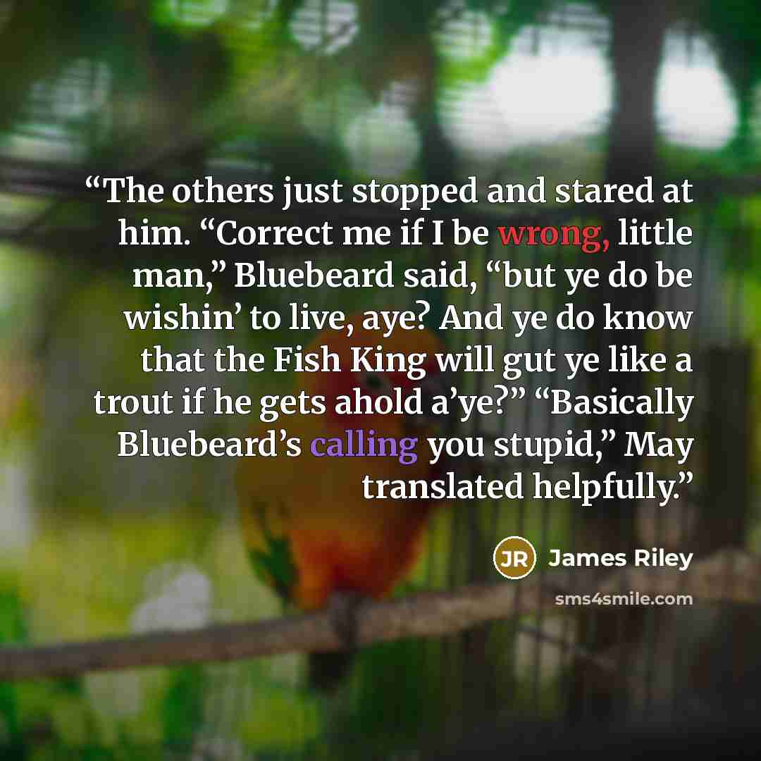 “The others just stopped and stared at him. “Correct me if I be wrong, little man,” Bluebeard said, “but ye do be wishin’ to live, aye? And ye do know that the Fish King will gut ye like a trout if he gets ahold a’ye?” “Basically Bluebeard’s calling you stupid,” May translated helpfully.” quote by James Riley