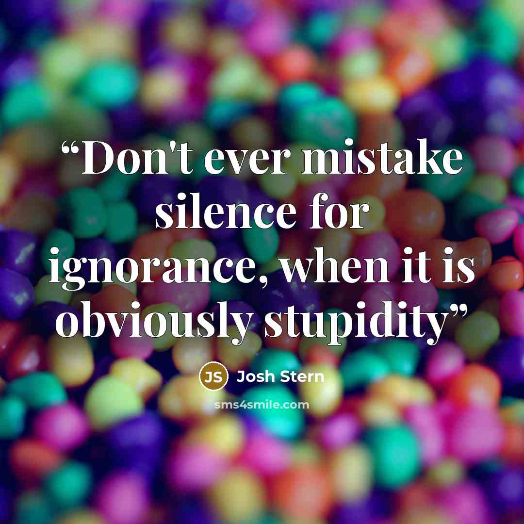 “Don't ever mistake silence for ignorance, when it is obviously stupidity” quote by Josh Stern