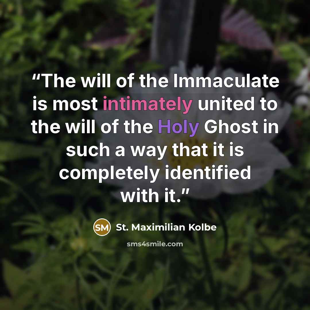 “The will of the Immaculate is most intimately united to the will of the Holy Ghost in such a way that it is completely identified with it.” quote by St. Maximilian Kolbe
