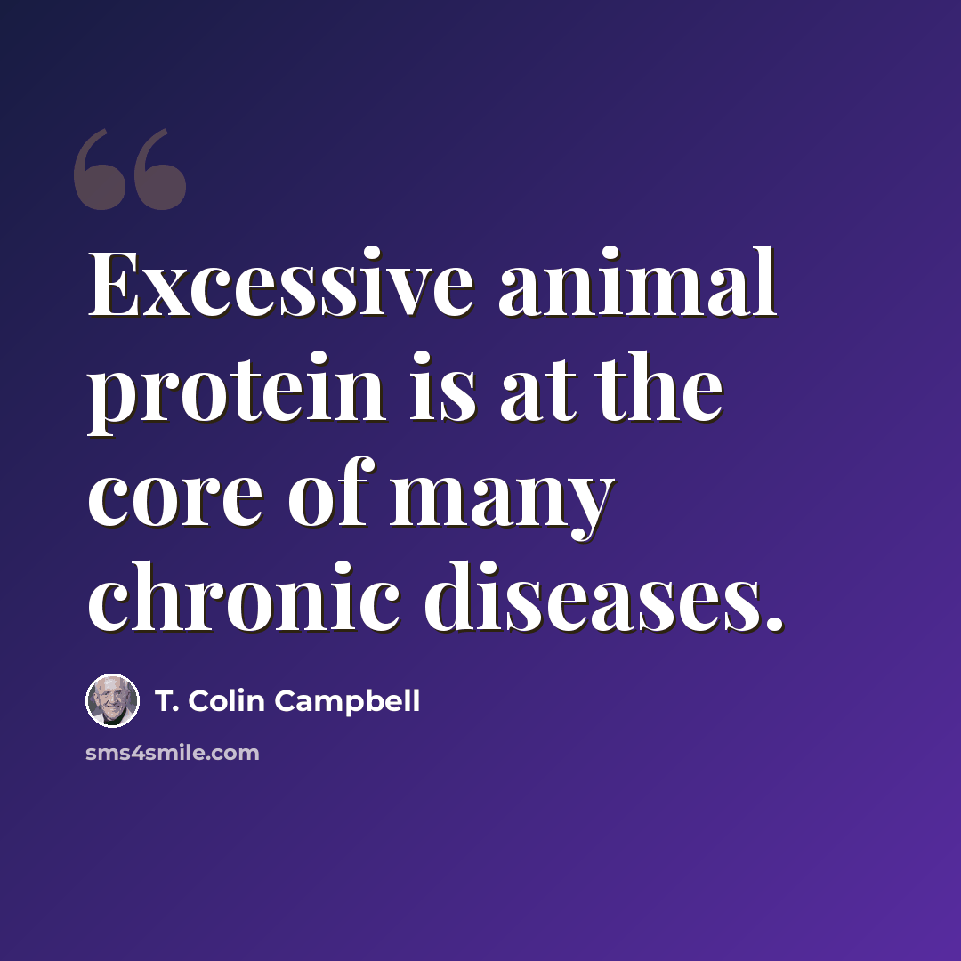 “Excessive animal protein is at the core of many chronic diseases.” quote by T. Colin Campbell