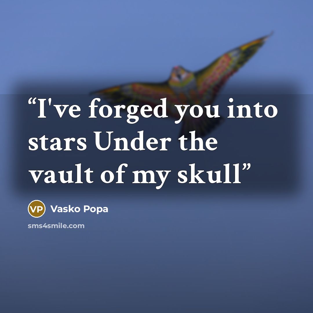 “I've forged you into stars Under the vault of my skull” quote by Vasko Popa