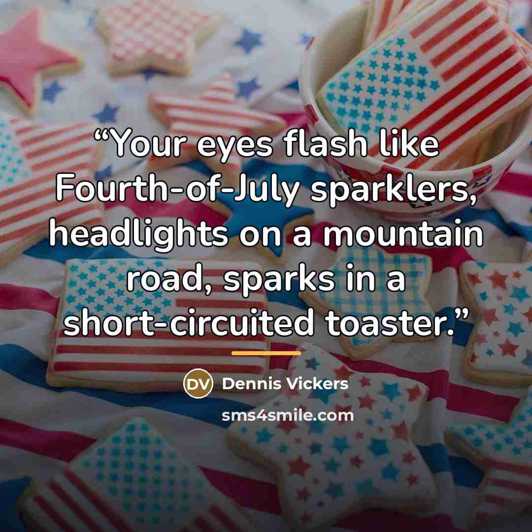“Your eyes flash like Fourth-of-July sparklers, headlights on a mountain road, sparks in a short-circuited toaster.” quote by Dennis Vickers
