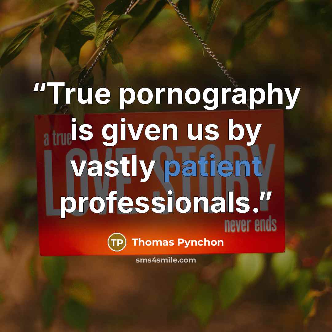 “True pornography is given us by vastly patient professionals.” quote by Thomas Pynchon